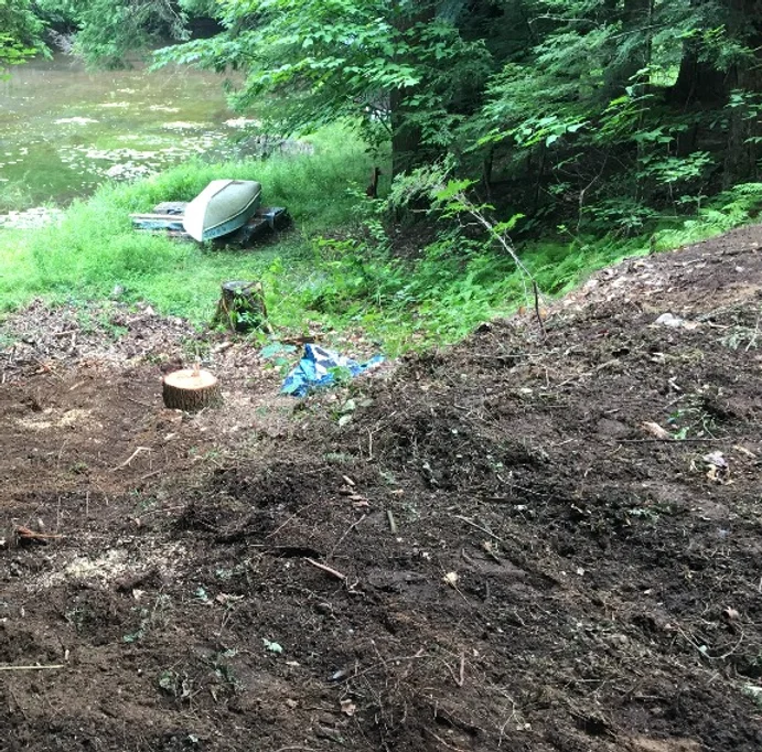 fixer upper yard at cabin