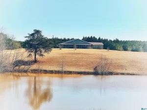 gray barndominium on pond